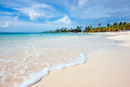 Isla Saona a tropical paradise and the best natural pool in Punta Cana