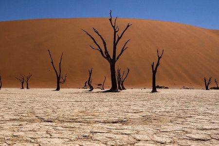 2 Day Scenic Sossusvlei Adventure Tour in Namibia
