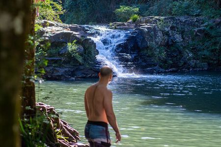 Full-Day Guided Hinterland Adventure Tour in Queensland