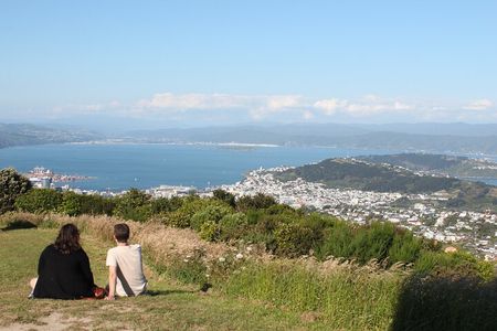 Wellington Scenic Full Day Tour