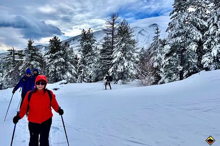 2002 Crater Excursion - Northern Etna