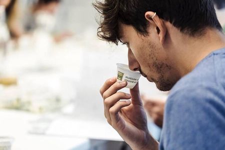 Olive Oil Mill experience and tasting in Salento with Guide