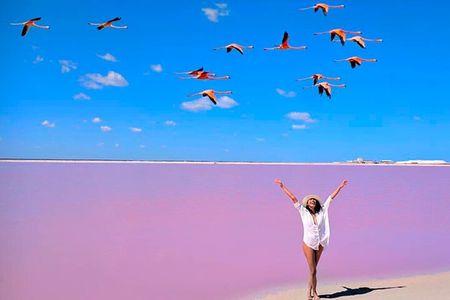 Tour Las Coloradas