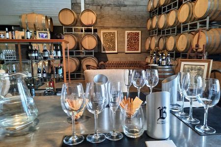 Uco Valley Wineries Day with Private Driver