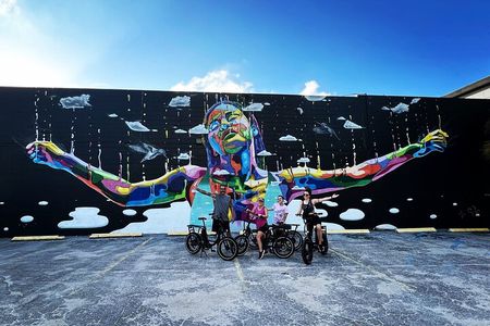 Electric Bike Guided City & Mural Tour