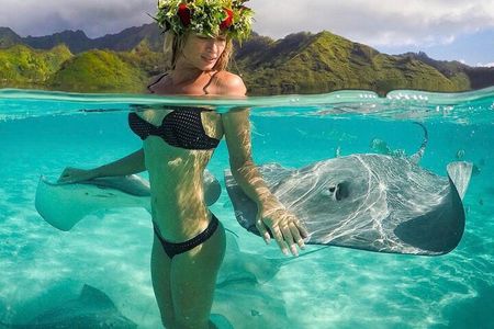 Snorkeling Safari Moorea (Half Day Tour)