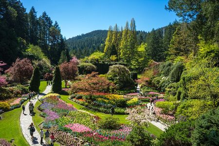 Butchart Gardens and Victoria Sightseeing Tour from Vancouver