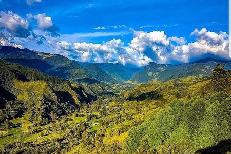 Cocora, Salento and Filandia (The daughter of the Andes) Walking Tour in Quindio