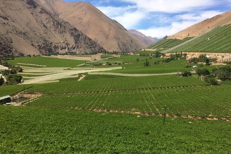Grand Tour Elqui Valley Mountains and Cultural Treasures of Chile