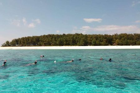 Half Day Zanzibar Mnemba Atoll Marine Reserve Snorkeling Tour