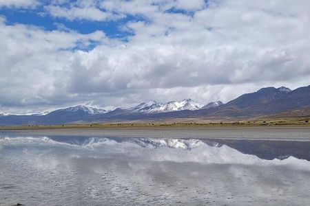 Salar de Salinas Adventure from Arequipa from 6:00am to 1:30pm