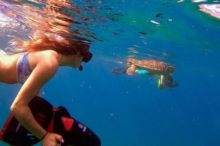 Turtle Town Underwater Scooter Snorkeling Tour with GoPro