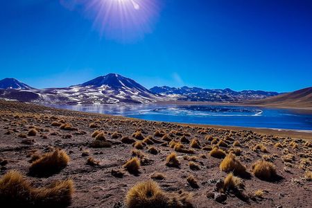 Small-Group Tour Altiplanic Lagoons Red Stones & Flamingo Reserve