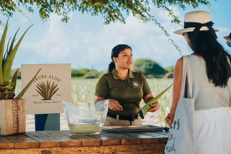 Aruba Baby Beach Express Tour