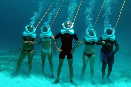 Fun Seaquarium From Punta Cana Free Transportation