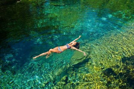  Wild on Caribbean SEA