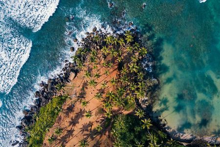 Highlights of Sri Lanka 8 Days Private Tour