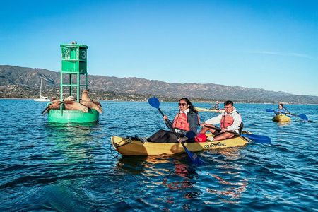 Wildlife Kayak Tour in Santa Barbara Harbor (2 Hours)