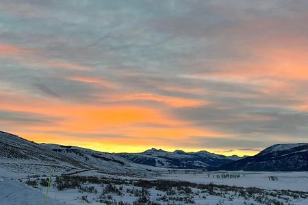 Private Evening/Sunset Wildlife Encounter Tour