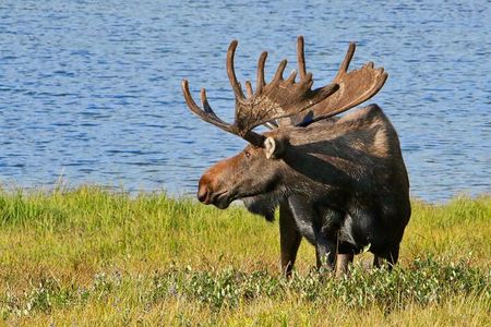 Rocky Mountain National Park Tour - RMNPhotographer