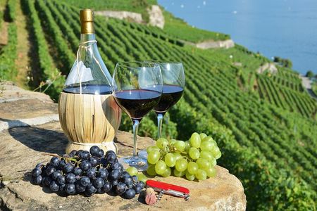 Peljesac Vineyards & Oysters - Private Day Trip from Dubrovnik-Mercedes Vehicle