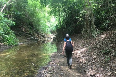 The Jaguar´s Footprint: Hike and Music Day Trip from Cartagena