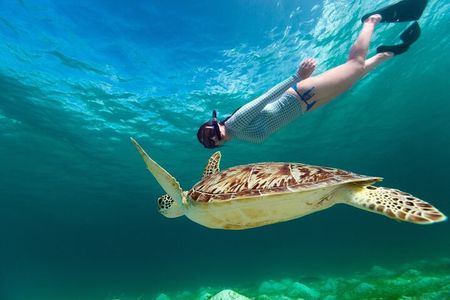 Snorkeling with Turtles and Cenotes