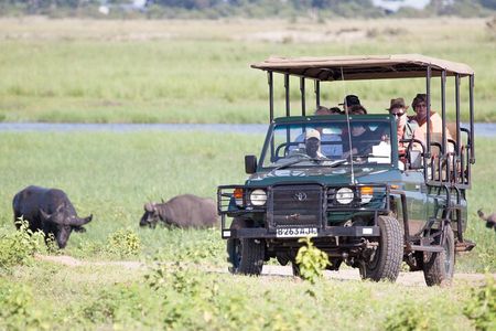 Boat Cruise And Game Drive in Chobe National Park 