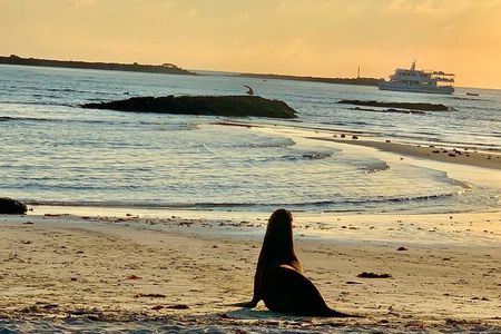 Isabela Island Tour in Galapagos with Kayak 