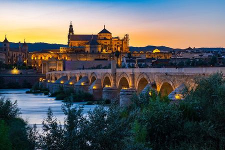 Cordoba Mosque-Cathedral & City Private Tour 