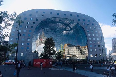 The Hague, Delft and Rotterdam Small-Group Tour (Max. 8 People)