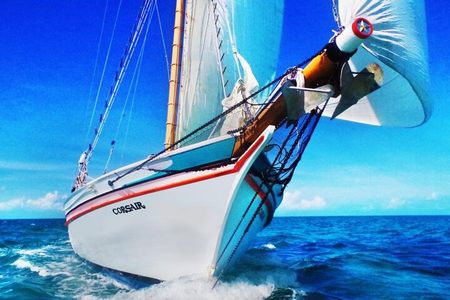 ALL INCLUSIVE Full Day snorkeling & sunset cruise with boat dogs
