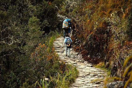 Inca Trail to Machu Picchu (4 Days)