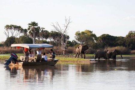 3-Days Private Nyerere NP Game Drive and Boat safari tour