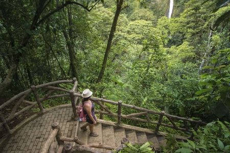 3 in 1 Combo: La Fortuna Waterfall, Hanging Bridges, Thermal Spa from San José