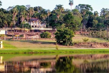 Coffee Farm Tour: Explore the Flavors of São Paulo’s Countryside
