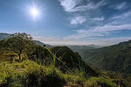 Discover Ella - Ella Rock, Little Adam's Peak & Nine Arch Bridge