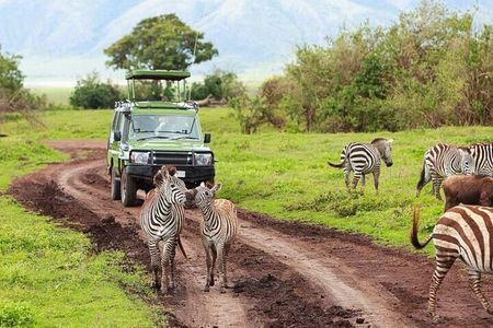 3 Day Classic, Guided Serengeti Safari