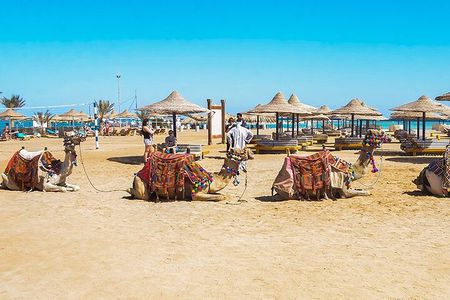 Makadi Bay Camel Ride Experience