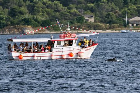 Dolphin Watching Sunset Boat Trip in Pula with Dinner
