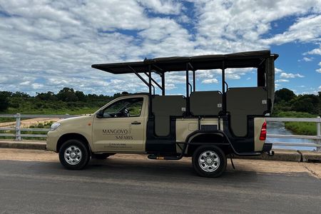 Small-Group Full-Day Safari Tour in Kruger National Park