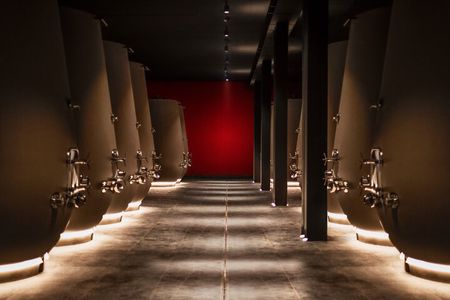 Valpolicella Wine Tasting Experience & Light Lunch