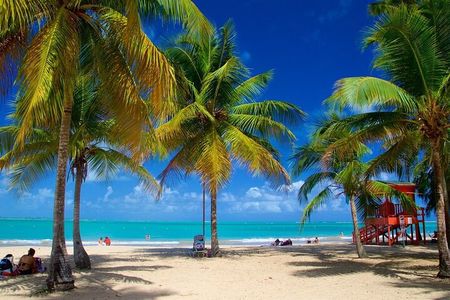 Private El Yunque Waterslides and Luquillo Beach Tour