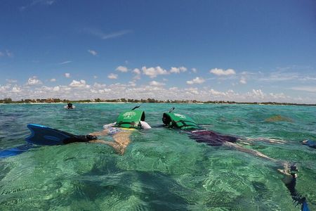 Snorkeling with Caribbean Fish