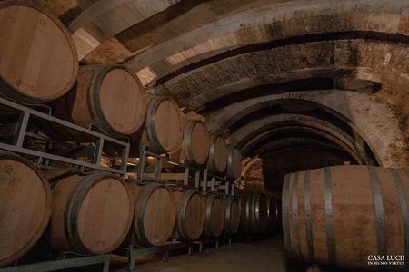 Wine and food tasting in an organic family winery