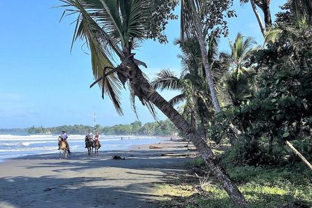 Horseback Riding & Cahuita National Park–Private Sightseeing Tour