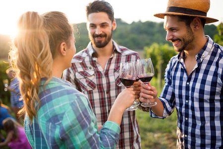 Taste + Tram the Winelands Tour: Franschhoek, Stellenbosch, Paarl