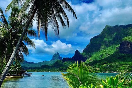 Half-Day Tour of Moorea Island in a Small Group
