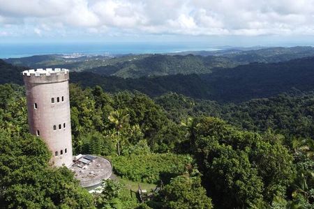 El Yunque Rainforest Hike with Transport from San Juan
