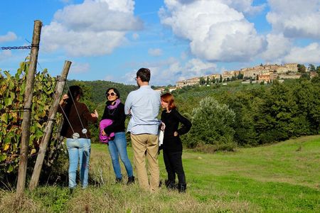Wine Tasting and Visit to the Vineyard and Cellar in Trequanda